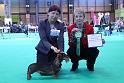 Crufts_dachshunds 1187